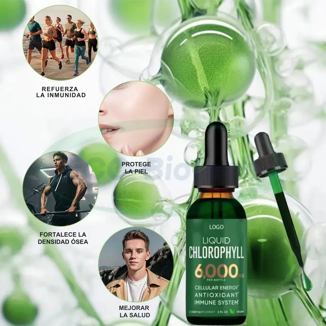 Gotas de Clorofila Líquida – Limpia las toxinas y fortalece el Sistema Inmunológico 🎁 Oferta por hoy
